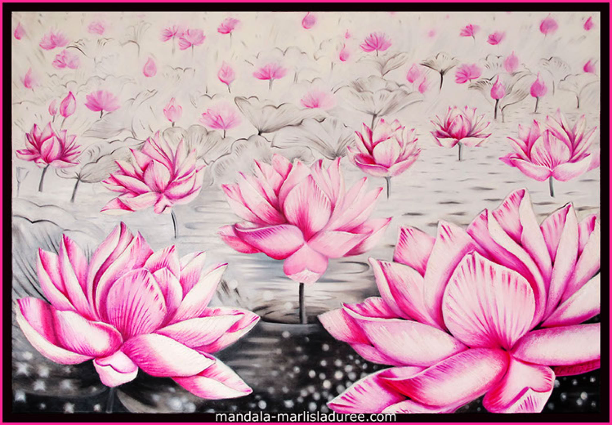 Les Lotus par Marlis Ladurée